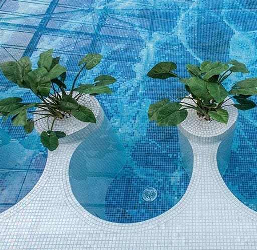 Unbenannt-10 Fiori di loto in piastrelle di piscina interrata con piante acquatiche.