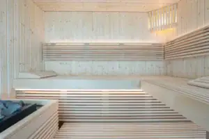 Panorama_Small-01 Piscina wellness interrata in legno, progettata per relax e beauty, con ambiente caldo e accogliente.